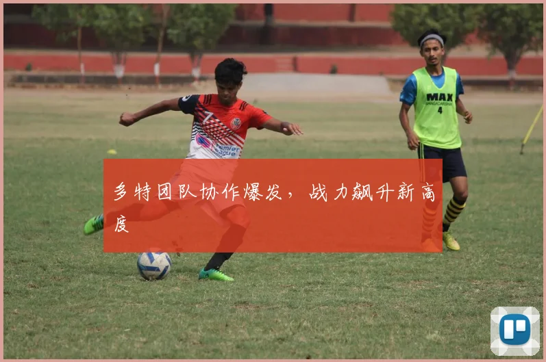 多特团队协作爆发，战力飙升新高度