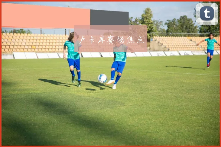 卢卡库赛场焦点