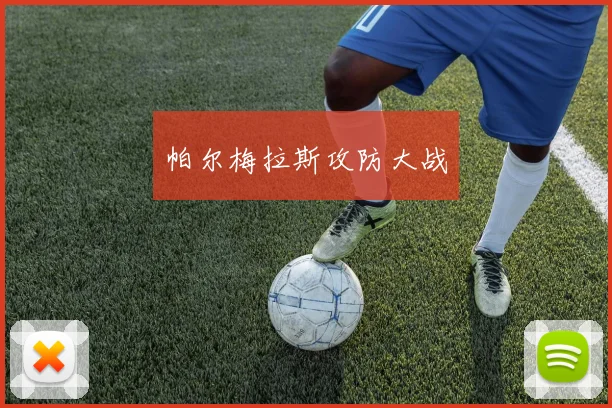 帕尔梅拉斯攻防大战