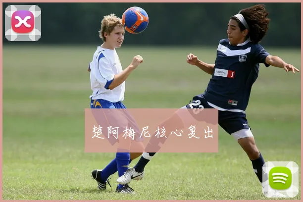 楚阿梅尼核心复出