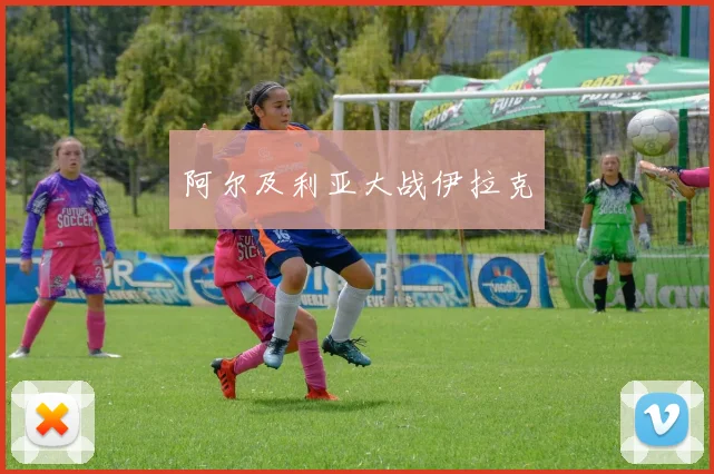 阿尔及利亚大战伊拉克