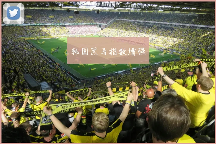 韩国黑马指数增强