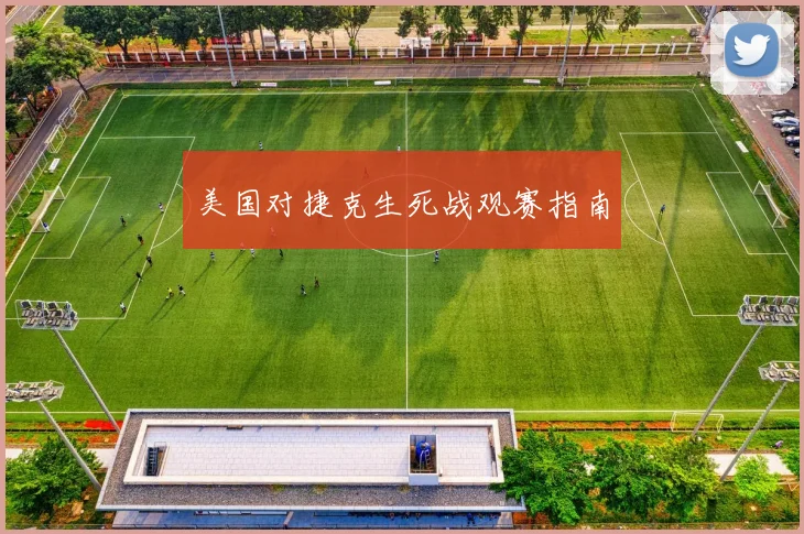 美国对捷克生死战观赛指南