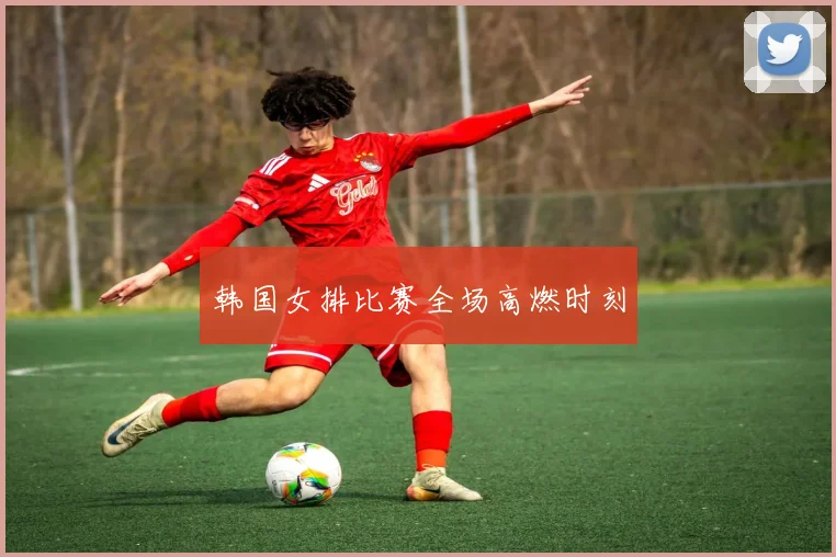 韩国女排比赛全场高燃时刻