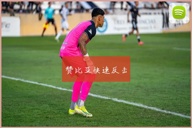 赞比亚快速反击
