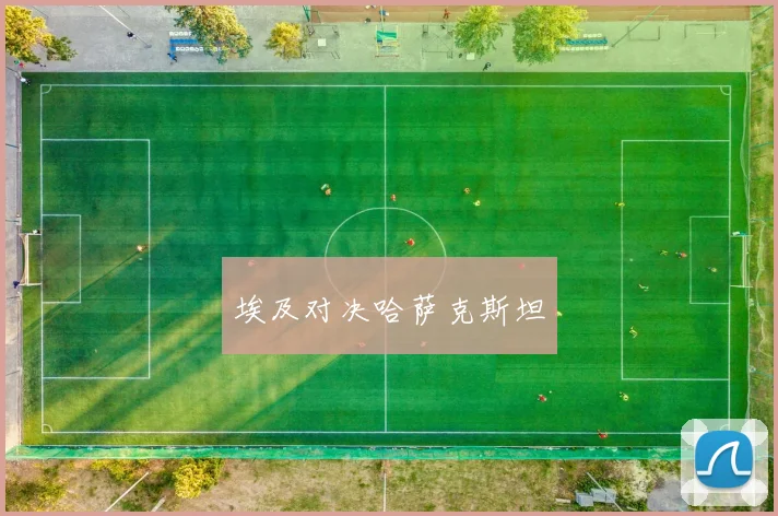 埃及对决哈萨克斯坦