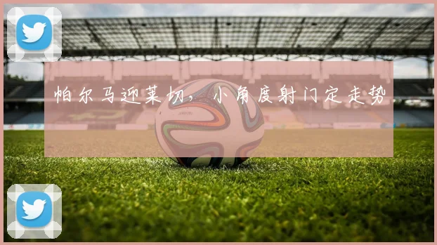 帕尔马迎莱切，小角度射门定走势