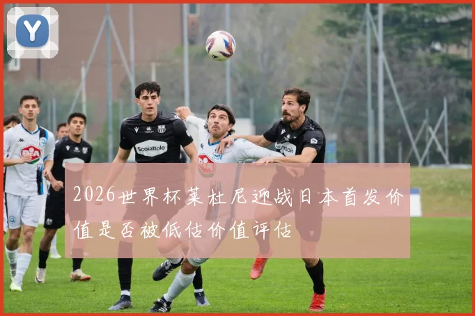 2026世界杯莱杜尼迎战日本首发价值是否被低估价值评估