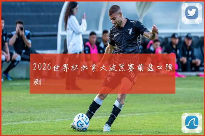 2026世界杯加拿大波黑赛前盘口预测