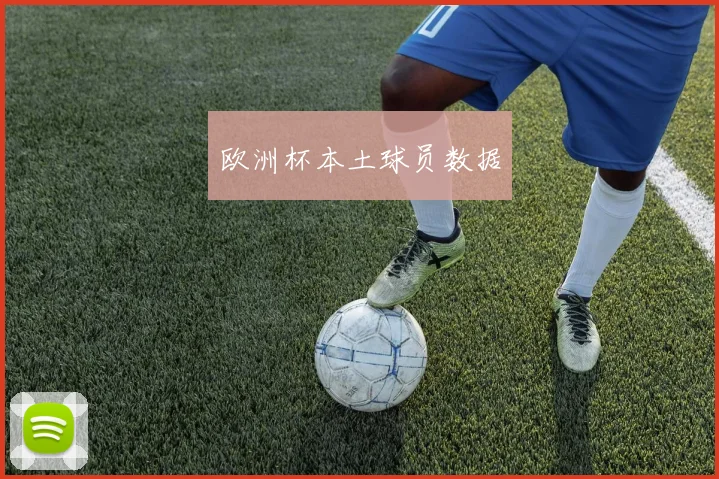 欧洲杯本土球员数据